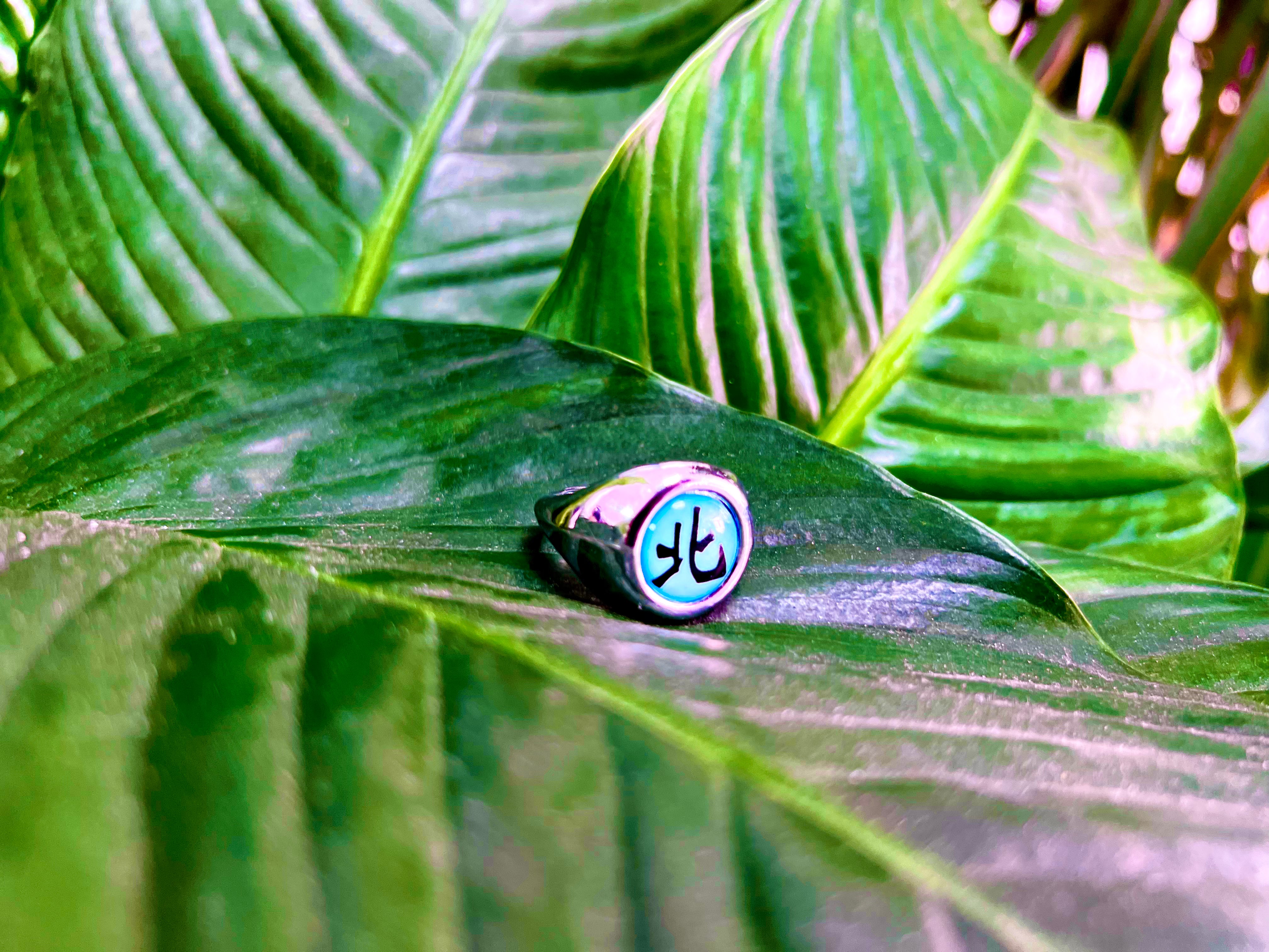 Kakuzu's Akatsuki Ring - Naruto