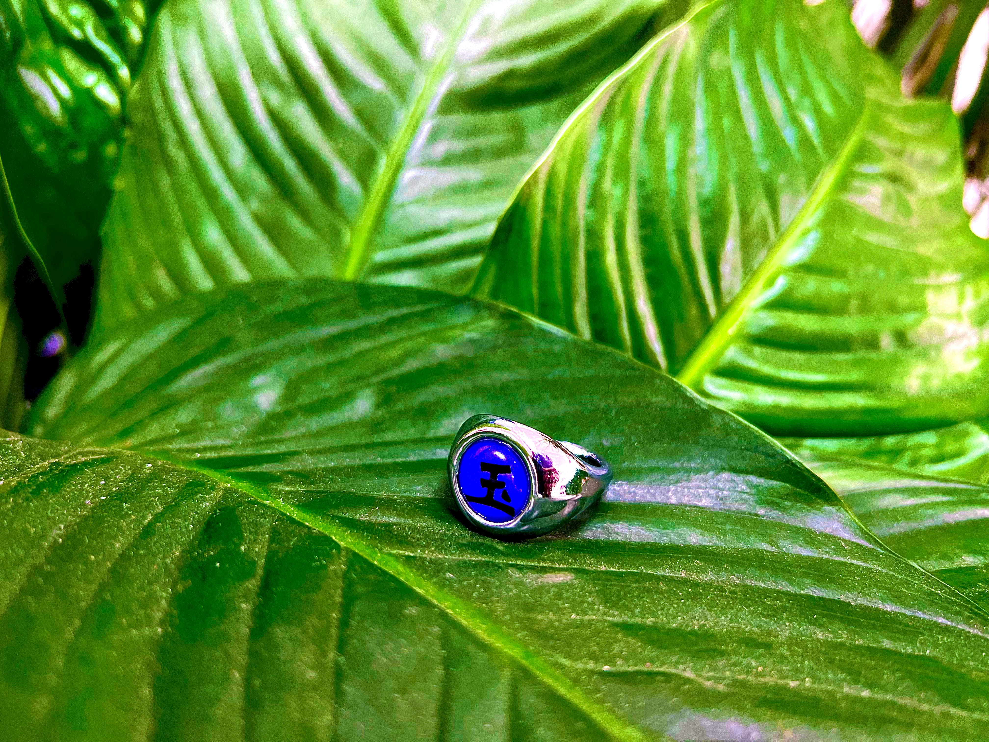 Tobi´s/Sasori´s Akatsuki Ring - Naruto