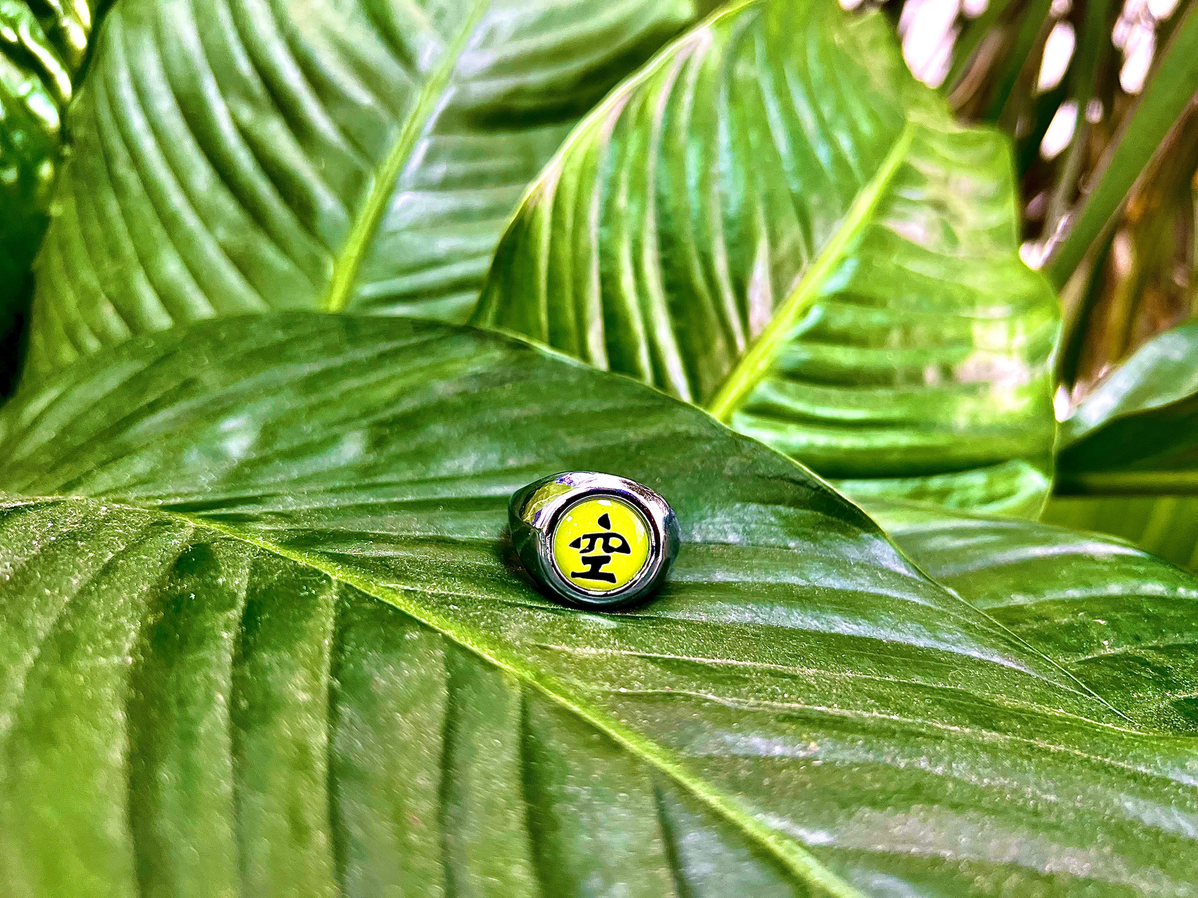 Orochimaru's Akatsuki Ring - Naruto