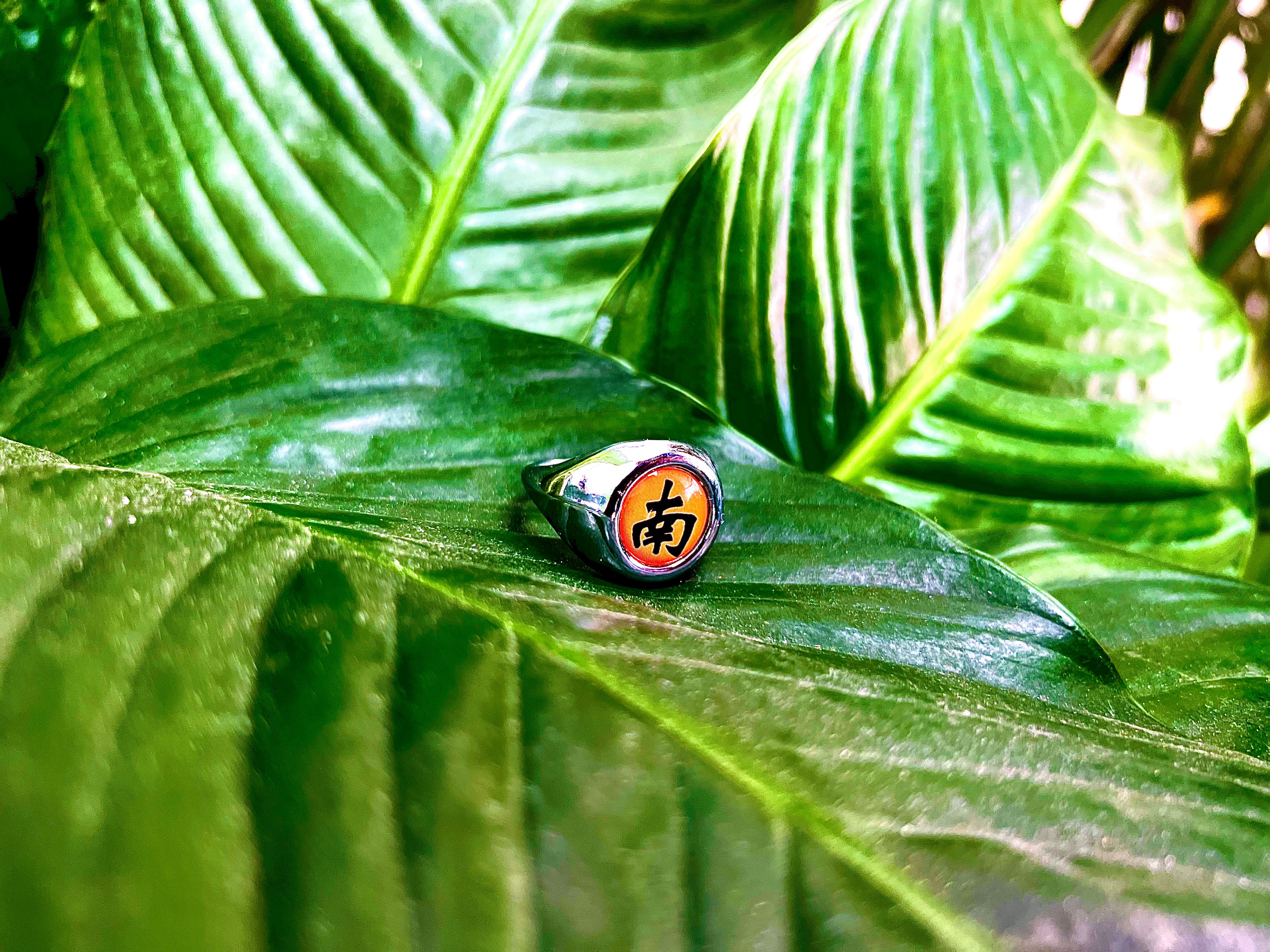 Kisame's Akatsuki Ring - Naruto