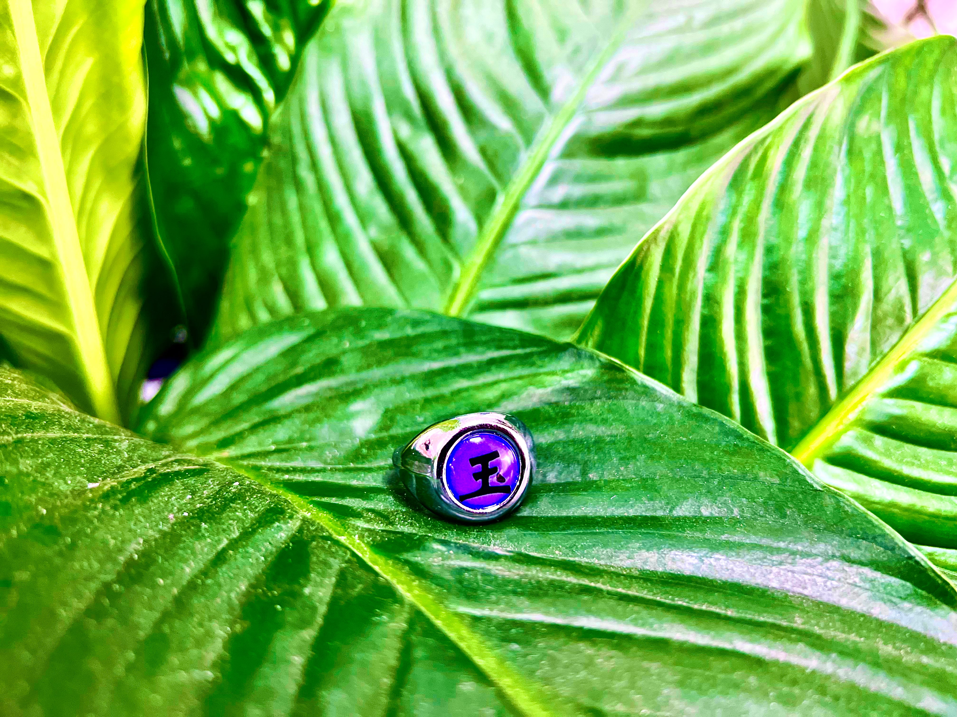 Tobi´s/Sasori´s Akatsuki Ring - Naruto